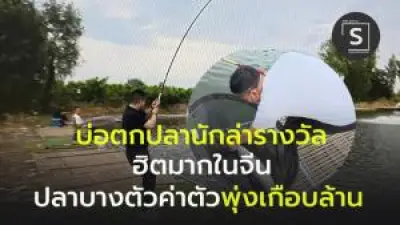 เคล็ดลับสตาร์ทอัพไทยพลิกวิกฤตสู่โอกาส สร้างธุรกิจให้รอดในยุคเศรษฐกิจผันผวน