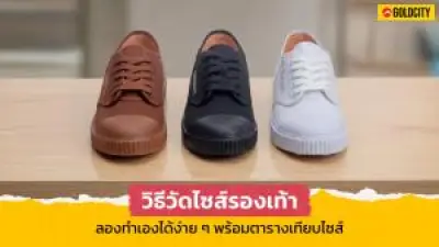 กนง. มีมติเอกฉันท์คงดอกเบี้ยนโยบายที่ 2.50% ต่อเนื่อง 5 ครั้ง