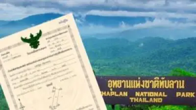 ปิดฉาก 'ข้าวไทย' ยุคทองล่มสลาย ราคาตกต่ำสุดในรอบ 20 ปี