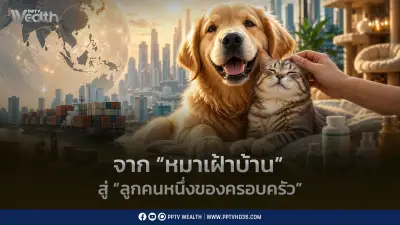 จากหมาเฝ้าบ้านสู่ลูกครอบครัว Pet Economy ไทยขึ้นแท่นครัวสัตว์เลี้ยงโลก