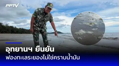 ปชช.นับแสนร่วมงานพระราชพิธีถวายพระเพลิงพระบรมศพ ร.9