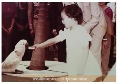 เที่ยวเมืองรองสไตล์โลว์คาร์บอน สัมผัสวิถีชุมชนยั่งยืน