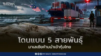 มาเลเซียแบนนำเข้ากุ้งไทย 5 สายพันธุ์ชั่วคราว ผลกระทบต่อการส่งออก