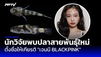 ยูเครนยอมรับเสีย战机F-16ครั้งแรก ตกขณะสกัดรัสเซีย