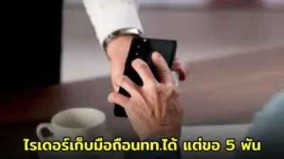 หมอเตือน! อย่าใช้ 'พาราเซตามอล' ยาแก้ปวด ลดไข้ กับ 'แมว' เสี่ยงตาย
