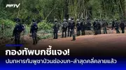สวนสัตว์เชียงใหม่เปิดให้ชมเสือโคร่งขาว 2 ตัวแรกของไทย
