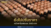 ไข่ไก่ราคาทรงตัว 3.60 บาท/ฟอง อุปสงค์-อุปทานเริ่มสมดุลหลังเปิดเทอม