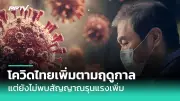 เตือนภัย! แก๊งต้มตุ๋นปลอมเป็นเน็ตฟลิกซ์ หลอกเหยื่อดูดเงิน