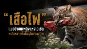 พลิกปูมชีวิต 