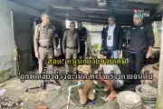 ทีมแพทย์เร่งช่วยชีวิตพะยูนเกยตื้นหาดเจ้าไหมอาการสาหัส