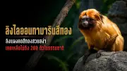 ไลฟ์สไตล์คนรุ่นใหม่หันมาใช้จ่ายแบบไร้เงินสดเพิ่มขึ้น