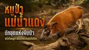 ผู้ว่าฯ กทม. เผย 7 ข้อเสนอแก้ปัญหา PM2.5 หลังประชุมผู้ว่าฯ 6 จังหวัดภาคเหนือ