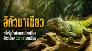 ดร.เสรี เผยแจ้งความเอาผิด ตร.ปมรถหรูจอดขวางทาง 7 วันรู้ผล