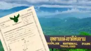 ปิดฉาก 'ข้าวไทย' ยุคทองล่มสลาย ราคาตกต่ำสุดในรอบ 20 ปี