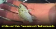 โจรโซ่คล้องคอหนุ่มใหญ่กลางโคราช ใช้ปืนจี้ขโมยสร้อยทองหนัก 2 บาท