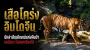 สยบม็อบ! รัฐบาลสเปนใช้กฎหมายความมั่นคงห้ามประท้วงกลางกรุงมาดริด