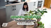 เปิดตัวคอนเซ็ปต์รถบินได้ Xpeng AeroHT ต้นแบบแห่งอนาคต