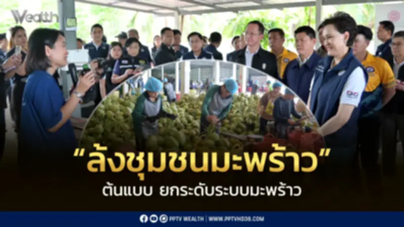 พาณิชย์จับตาล้งชุมชนมะพร้าวน้ำหอมต้นแบบแก้ปัญหาราคา