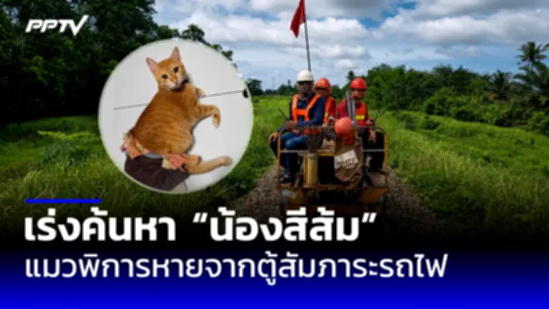ศาล รธน. มีมติ 8:1 ตีตกคำร้อง 'ก้าวไกล' สิ้นสุดภารกิจ
