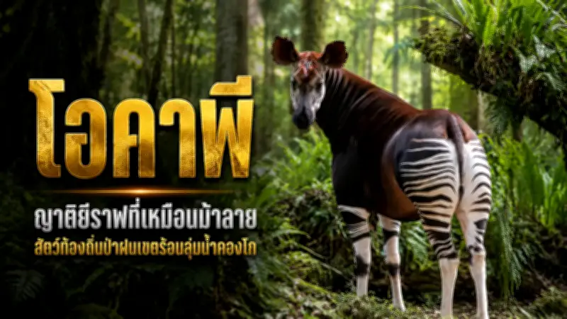 ศาลรัฐธรรมนูญนัดถกคดี 40 สว. ชี้ชะตา‘เศรษฐา’ 14 ส.ค.นี้