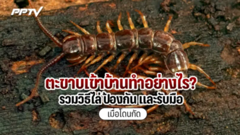 ดร.เจษฎ์ ชี้แจงเหตุผลที่ อ.เจษฎ์ ต้องลาออกจากมหาวิทยาลัย