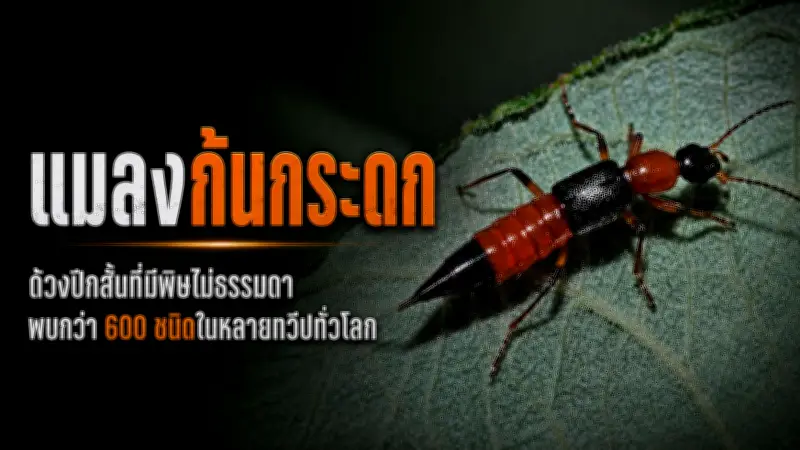 ดร.พิเชษฐ์สวนกลับนายกฯอภิสิทธิ์ปมแจกเงินดิจิทัล