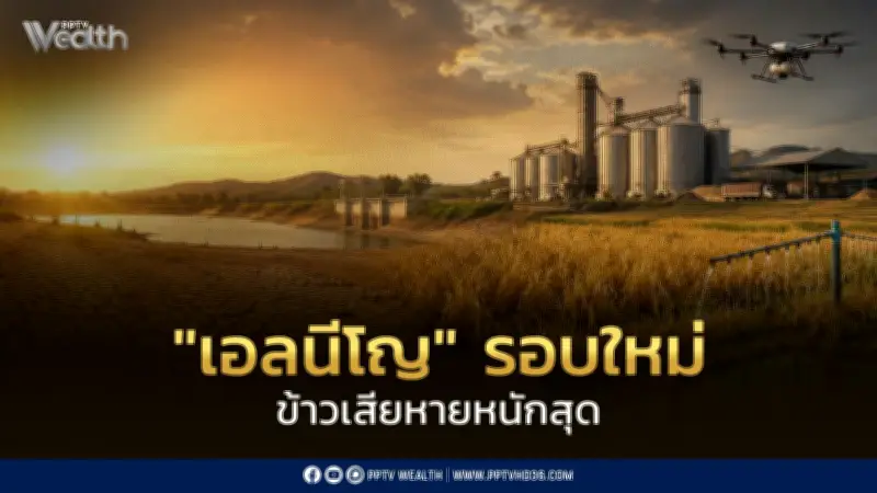 เอลนีโญรอบใหม่กระทบหนัก ภาคเกษตรเสียหาย 6.2 หมื่นล้าน ข้าวหาย 5.4 ล้านตัน
