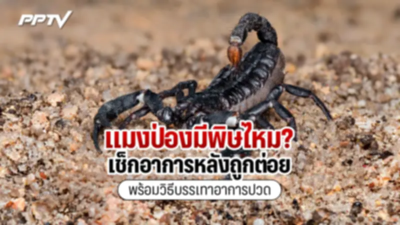 ปลัด มท. สั่งลุยตรวจสอบร้านค้าสวัสดิการทหารทั่วประเทศ