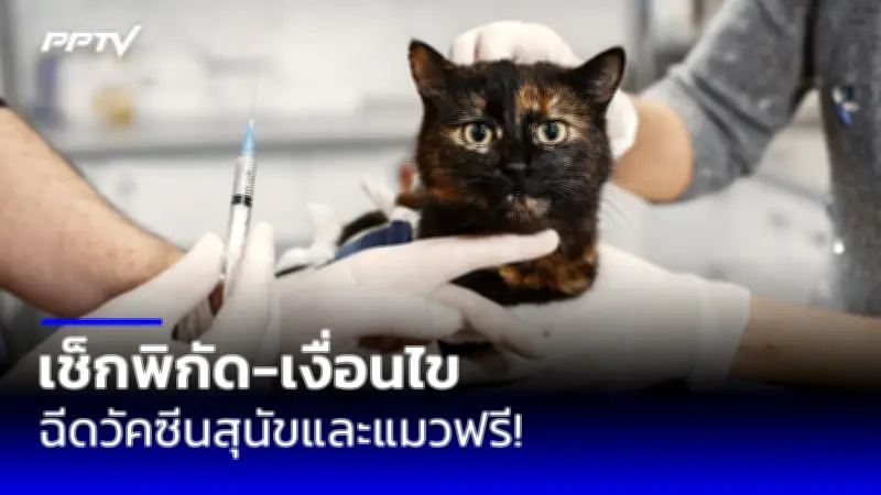 เตือนภัย! หนุ่มใหญ่ถูกมิจฉาชีพหลอกโอนเงินสูญ 7 แสนบาท