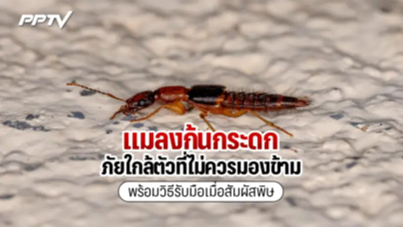 น้าชาติ ชนะคดี ตร.แจ้งข้อหาเท็จ หลังถูกจับคดีน้องชมพู่