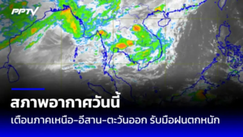 สภาการพยาบาลฟันธง! 'หมอปลาย' ถูกตั้งข้อหาหนัก ฐานให้ข้อมูลเท็จ