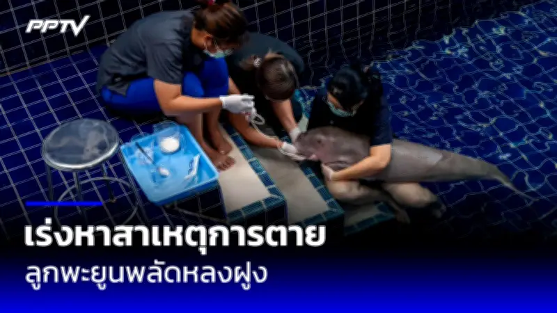 แม่ค้าขายของออนไลน์โดนแก๊งคอลเซ็นเตอร์หลอกสูญเงิน 2.5 ล้านบาท