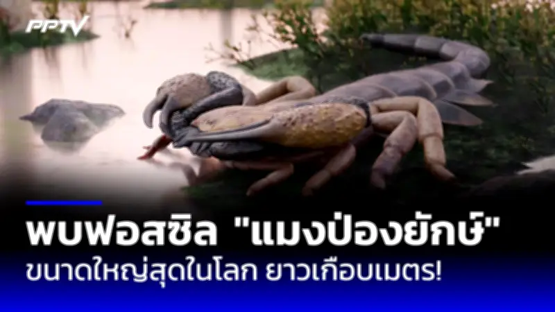 ปากีสถานจับกุมผู้นำกองกำลังติดอาวุธชาวต่างชาติ 2 รายในเมืองเควตตา
