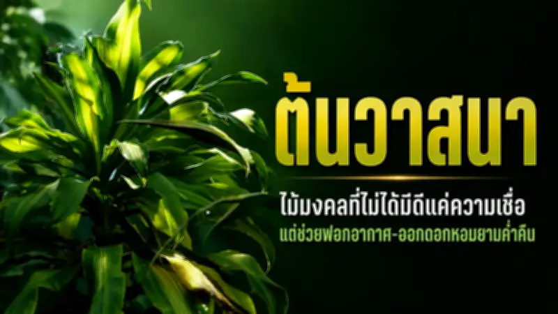 พายุฤดูร้อนถล่มอีสาน 11 จังหวัด ต้นไม้ล้มทับบ้านเสียหาย
