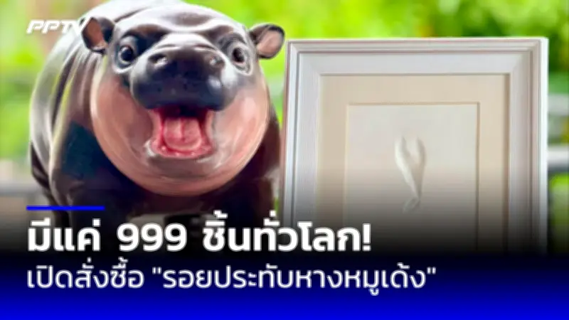 ท่าอากาศยานสุวรรณภูมิเตรียมรับผู้โดยสาร 5,000 คนต่อเที่ยวบิน