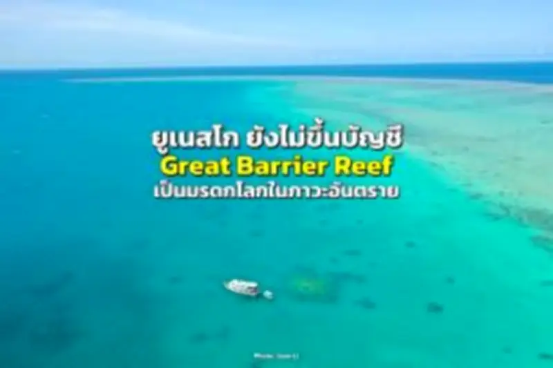 เที่ยวไร่ชาฉุยฟง แม่สาย ชิมชาเขียวสด 360 องศา