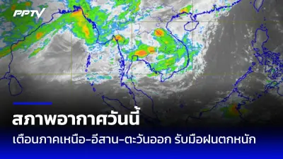 สภาการพยาบาลฟันธง! 'หมอปลาย' ถูกตั้งข้อหาหนัก ฐานให้ข้อมูลเท็จ