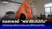 แม่ค้าขายข้าวมันไก่ถูกยิงเสียชีวิตคาร้าน หลังสามีทะเลาะกับผู้ก่อเหตุ