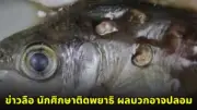 ศาลสั่งจำคุก 2 ปี 