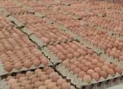 ธนาคารออมสินเปิดตัวบัญชีเงินฝากเผื่อเรียกพิเศษ ดอกเบี้ยสูงสุด 2.50% ต่อปี