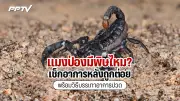 ปลัด มท. สั่งลุยตรวจสอบร้านค้าสวัสดิการทหารทั่วประเทศ