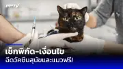 เตือนภัย! หนุ่มใหญ่ถูกมิจฉาชีพหลอกโอนเงินสูญ 7 แสนบาท