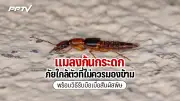 น้าชาติ ชนะคดี ตร.แจ้งข้อหาเท็จ หลังถูกจับคดีน้องชมพู่